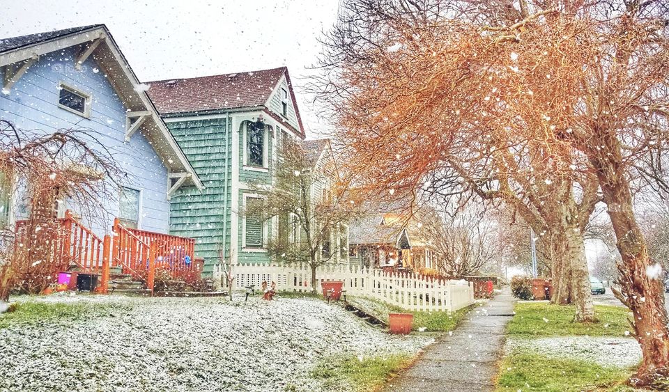 Snow falling in the neighborhood during the winter season.