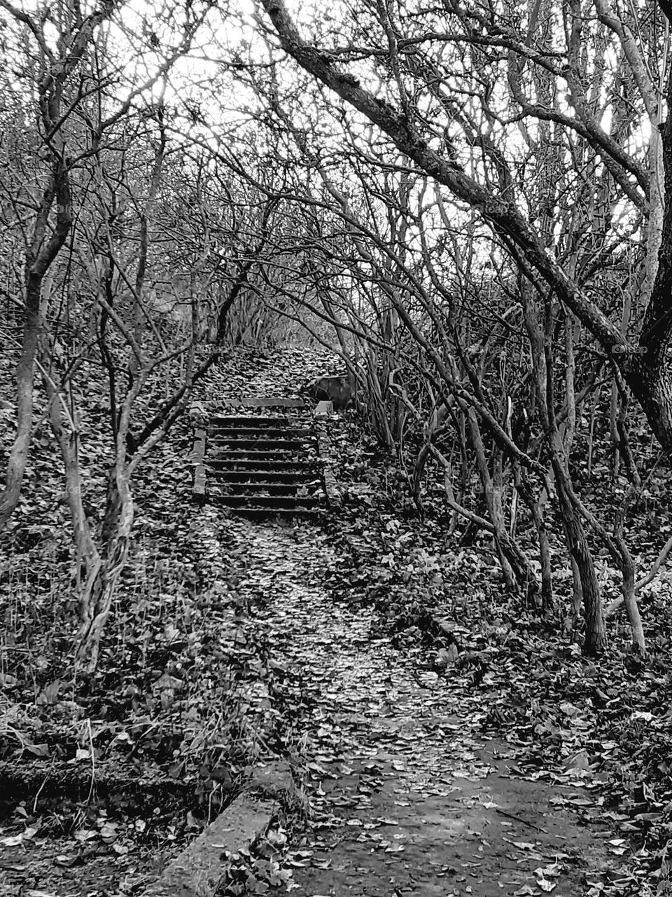 Дорога в неизвестность