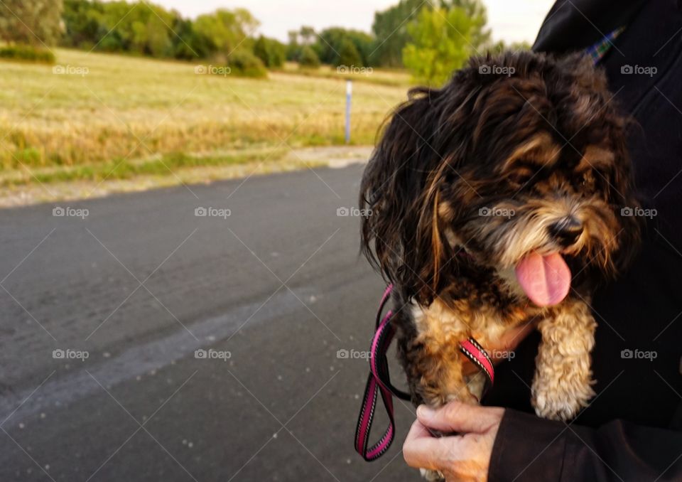 Happy to be Carried