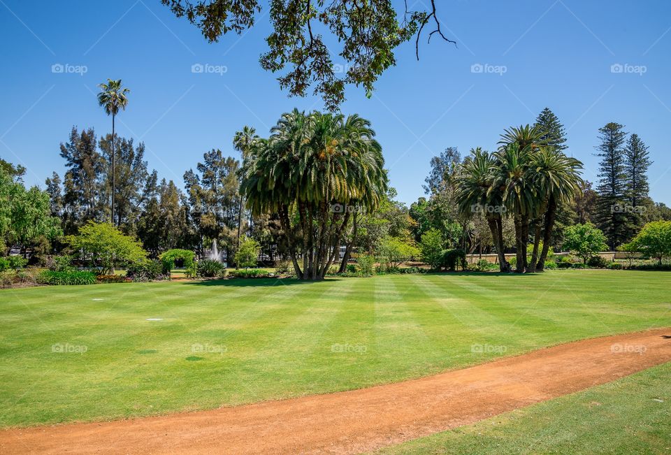 Tree, Golf, No Person, Grass, Lawn