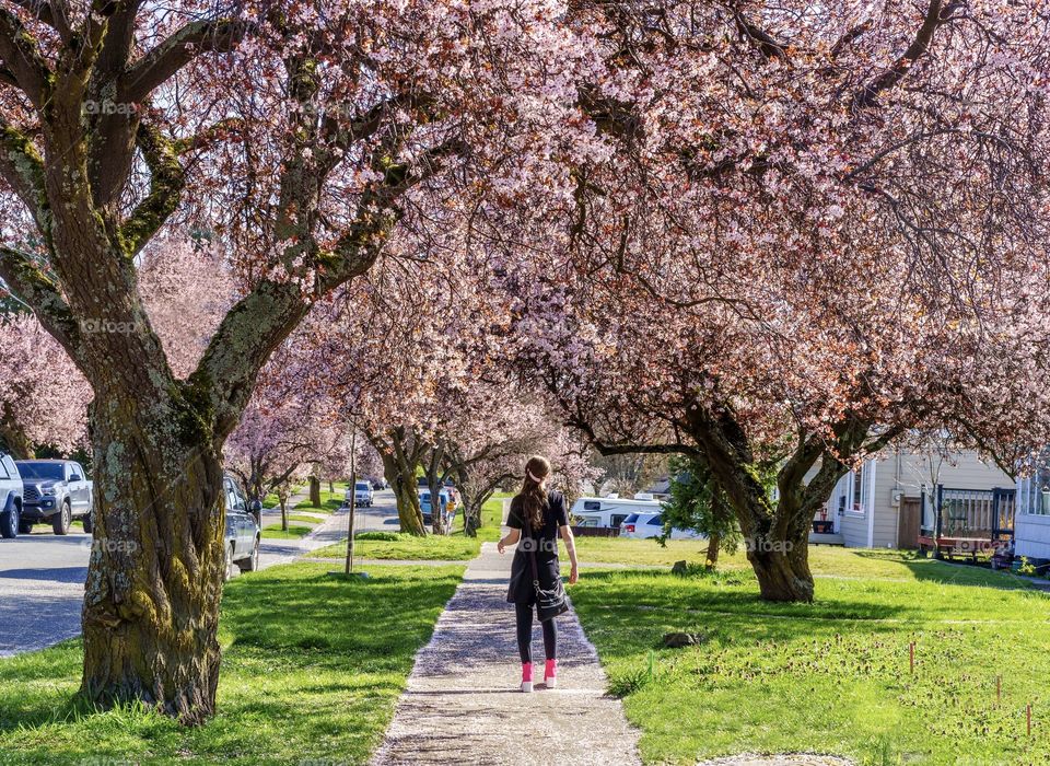Girl in pink boots under pink apple tree blossoms 