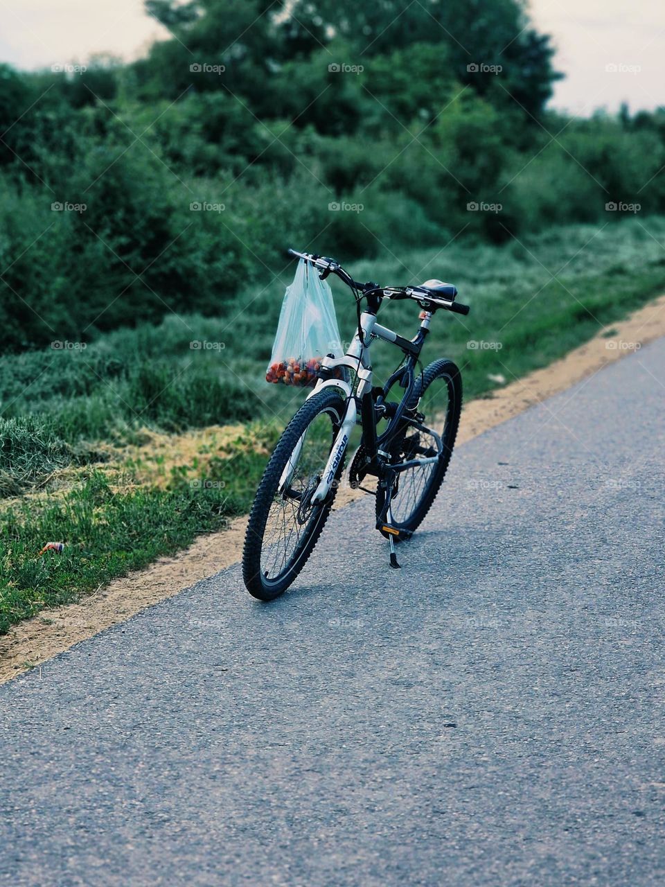 lonely bicycle