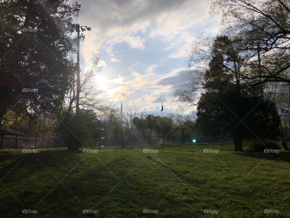 Bright sky at brookside park with looming shadows of trees