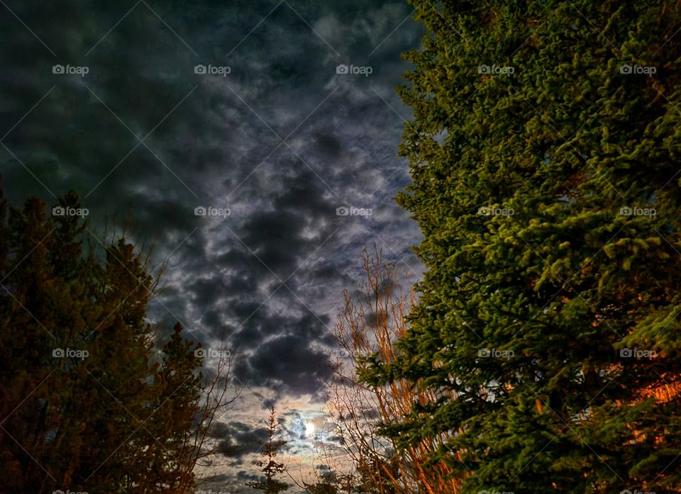 Full moon illuminated clouds