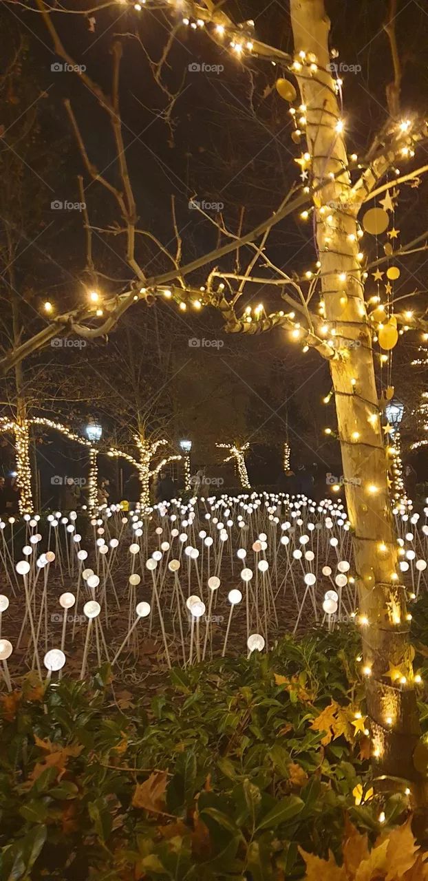 christmas light