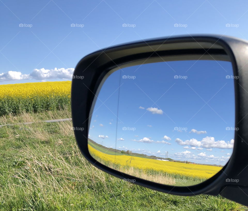 Spring landscape in mirror, countryside Skåne, Sweden