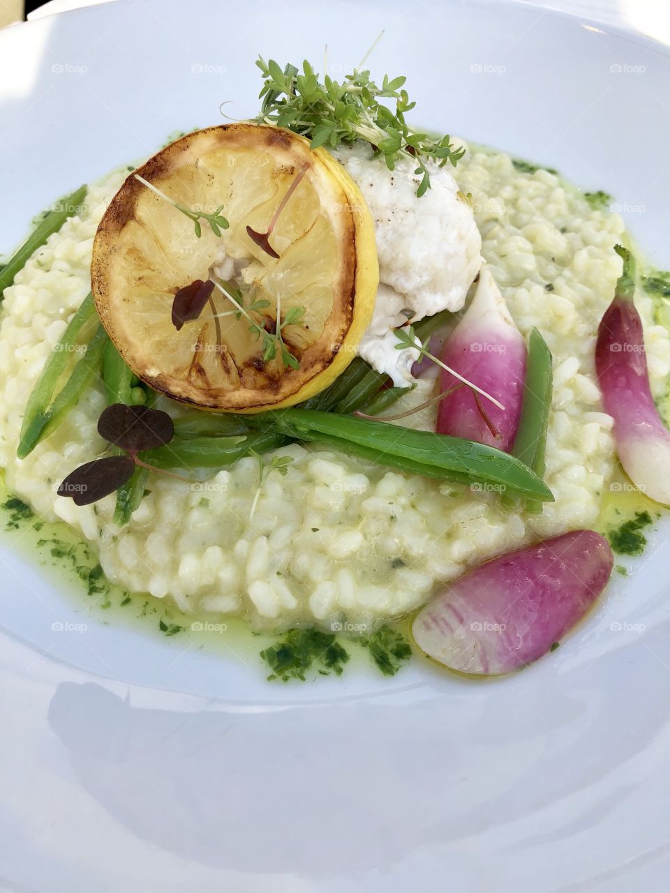 Catfish and risotto 