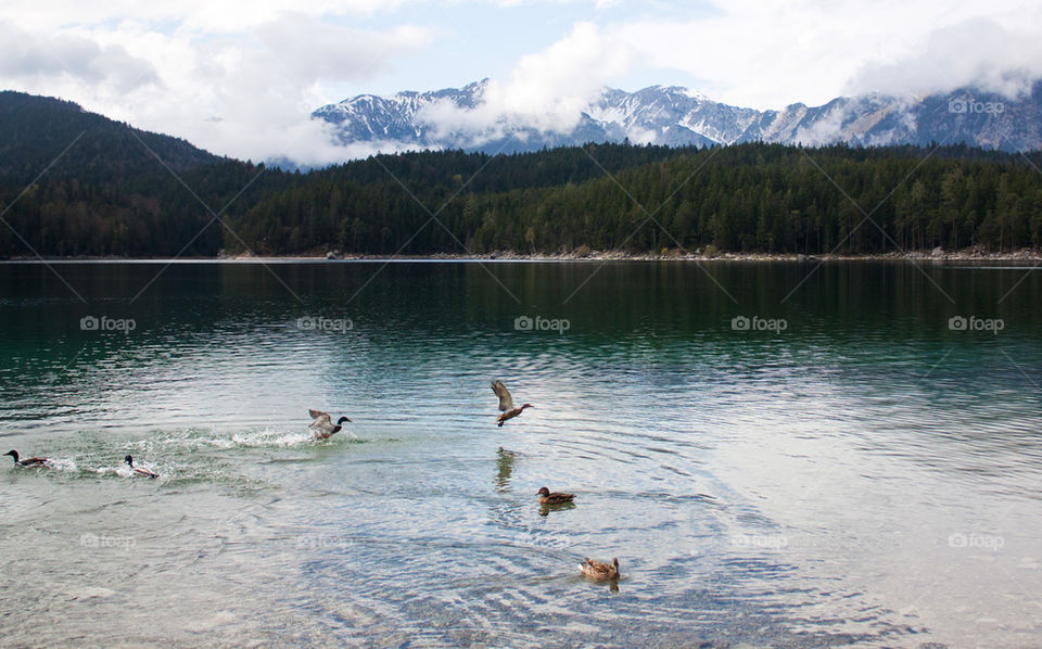 Eibsee