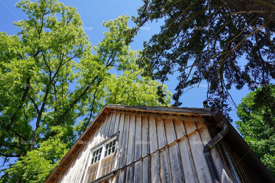 Low angle view of house