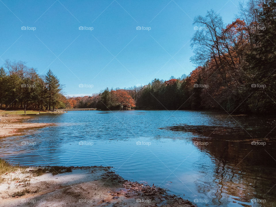 Pond in Nowhere