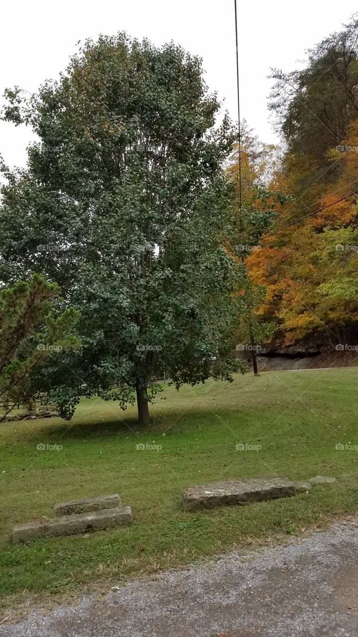 turning fall in my community