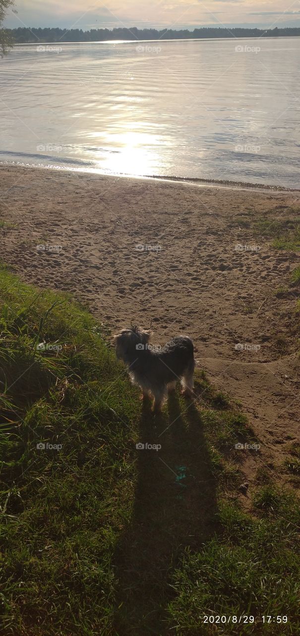 Relax on the river in Moscowskay obl.
