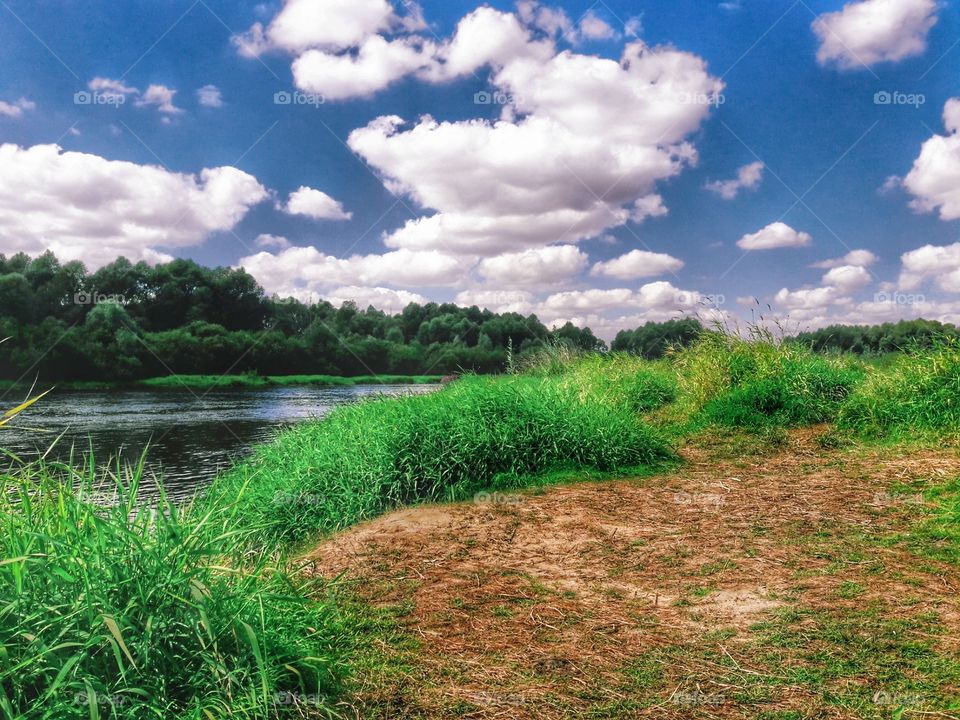 nature flower botany summer spring greens wild clouds sky