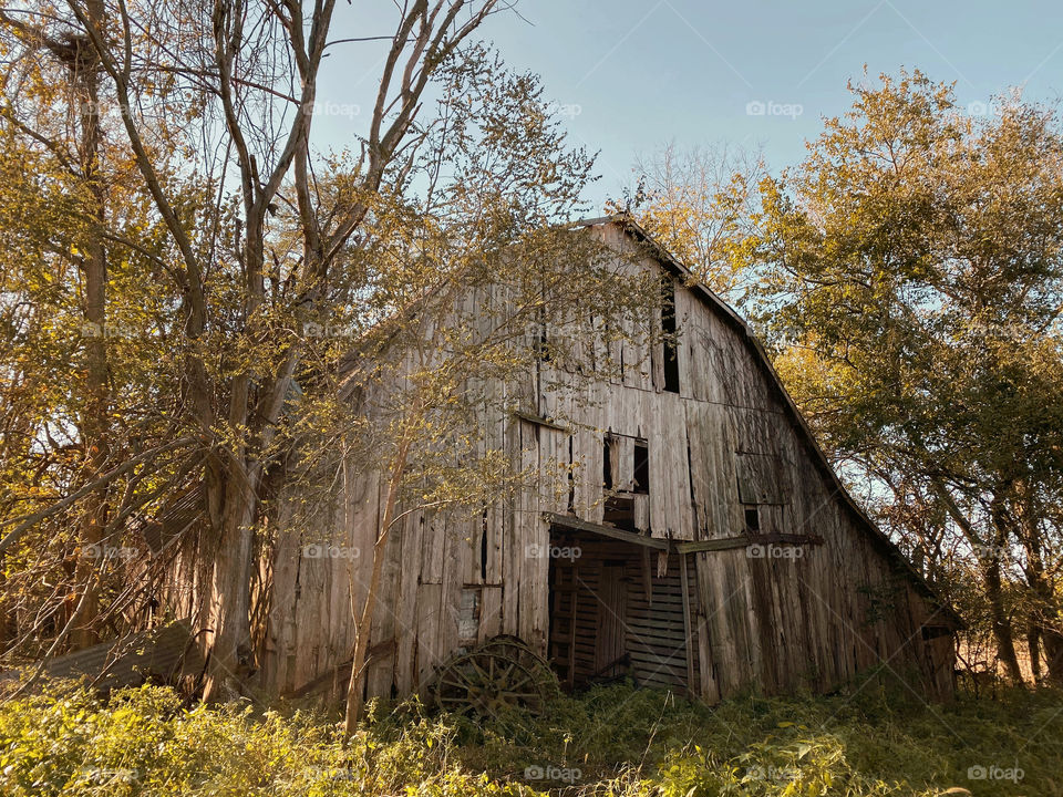 Old forgotten barn 