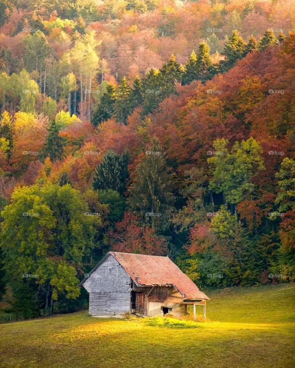 Amazing nature 