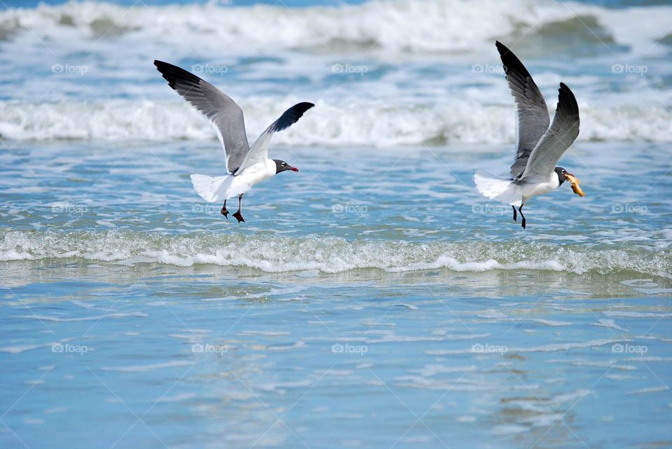 grabbing afternoon lunch while in flight