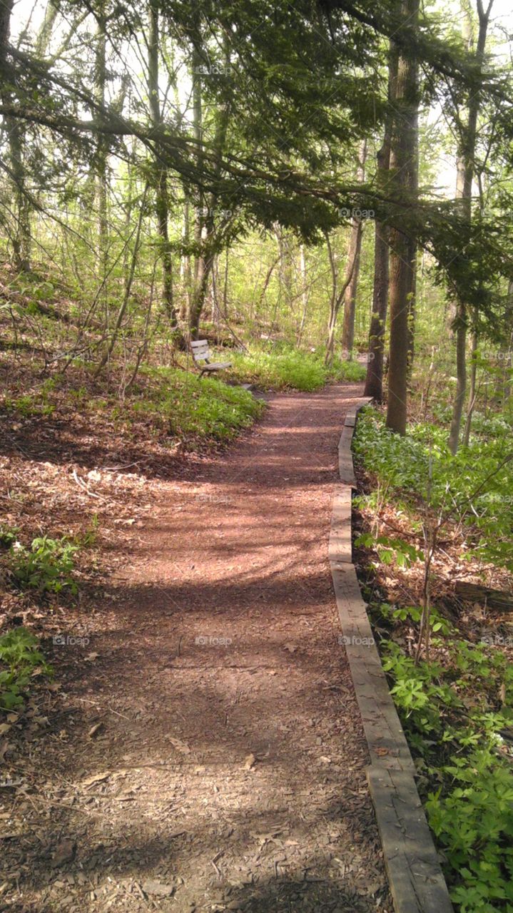 nature trail