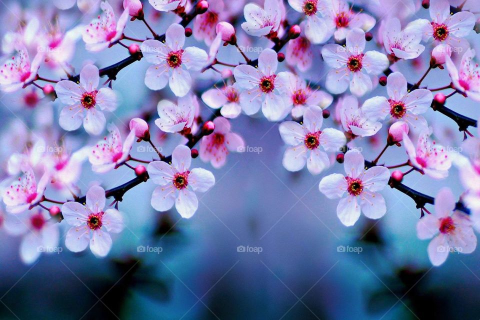 I am not professional but be like professional 😇☺ with your support ❤