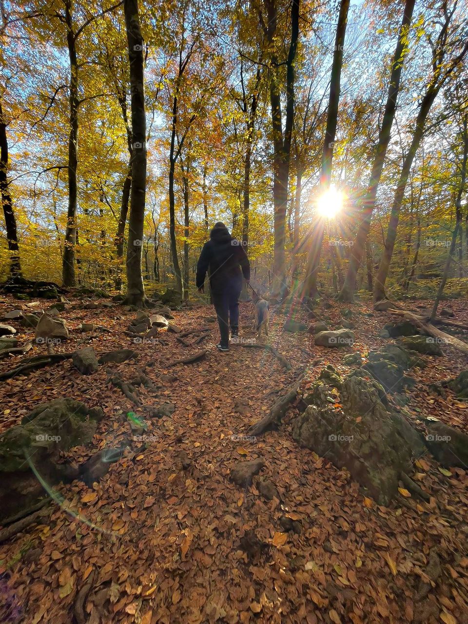 Paseando en libertad