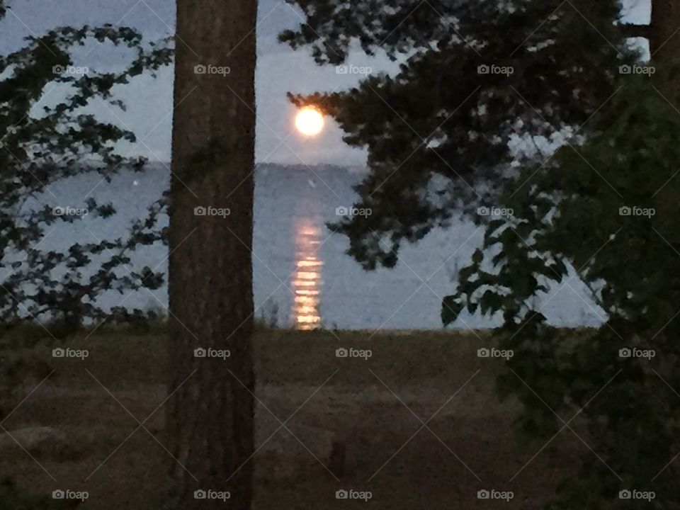 Moon at Kalmarsund in the Autumn
