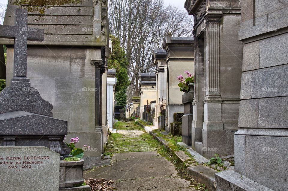 graveyard in the cemetery in paris