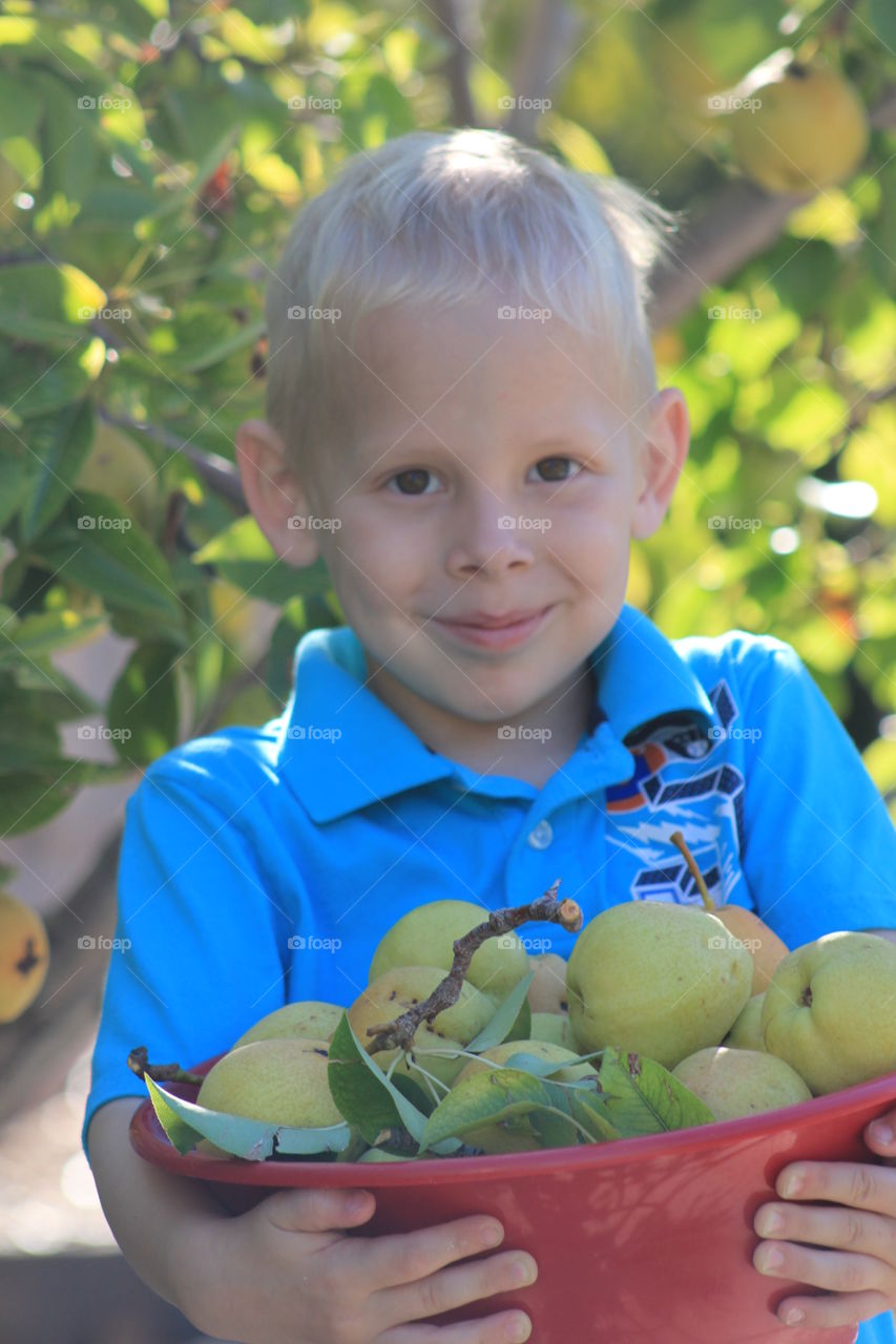 Harvest Time