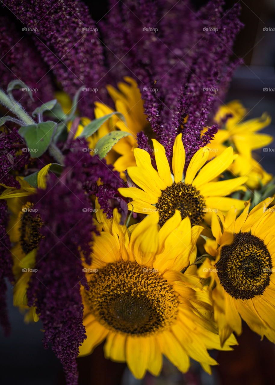 Beautiful fall sunflowers complete with lovely pops of purple. 