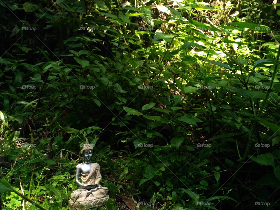 Buddha in the woods..