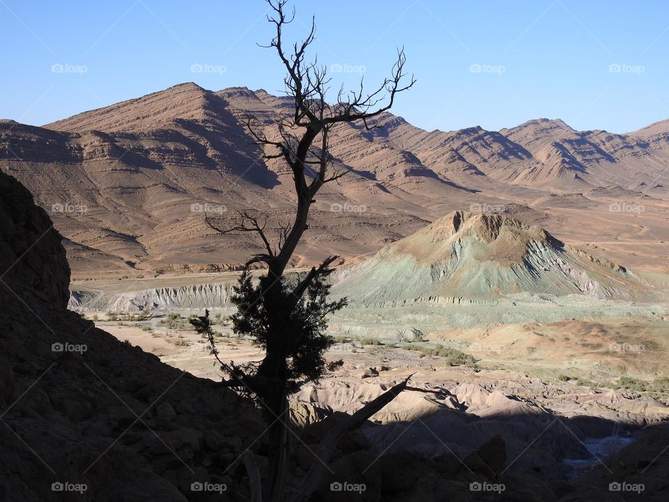 mountain landscape