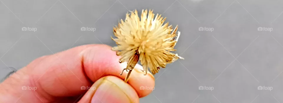 Beauty of nature