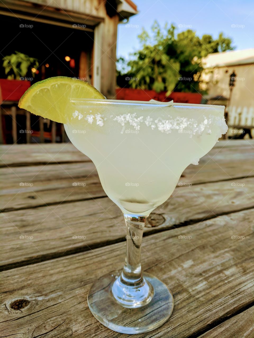 margarita