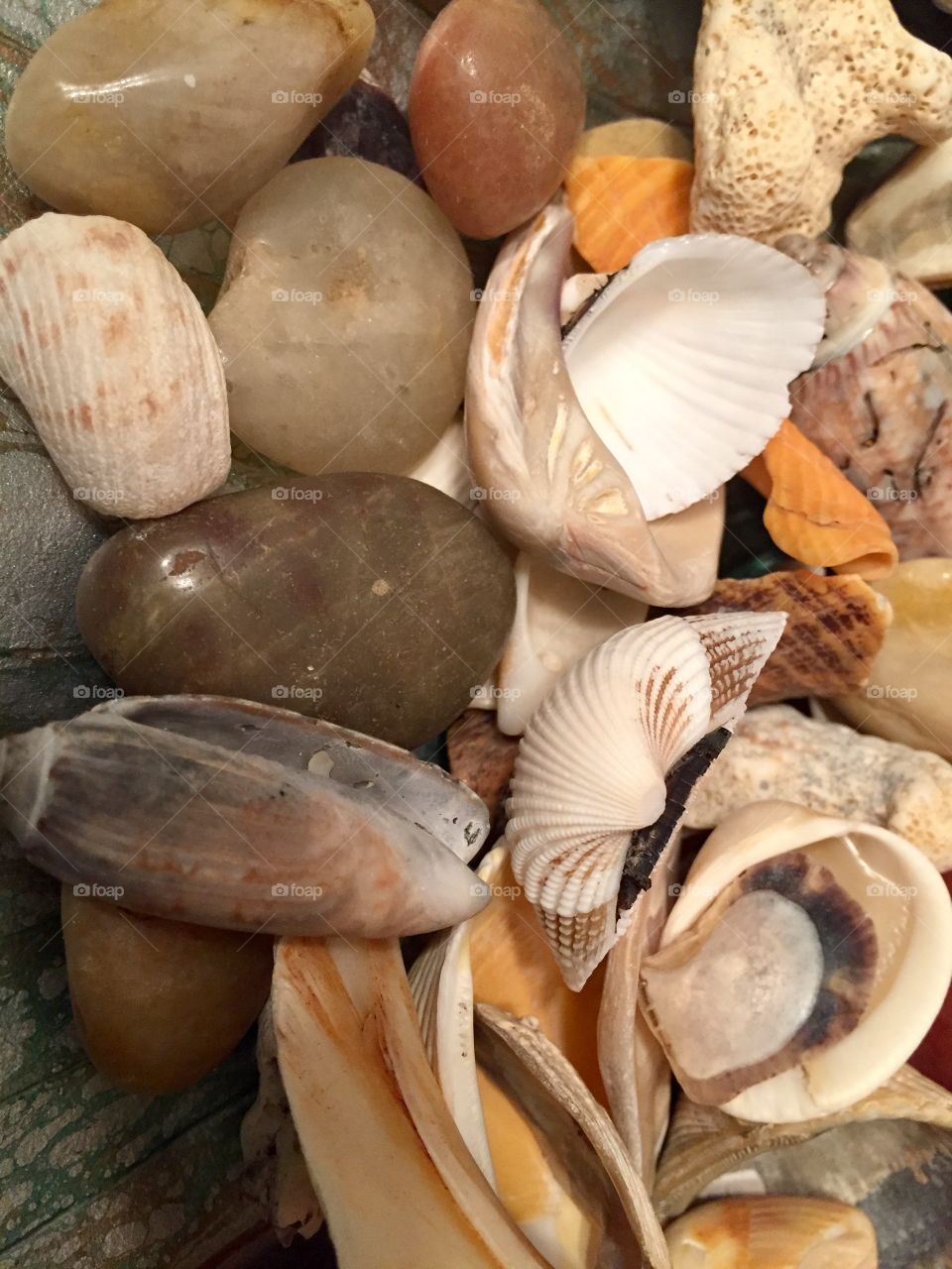 Collection of pebble stones and seashells
