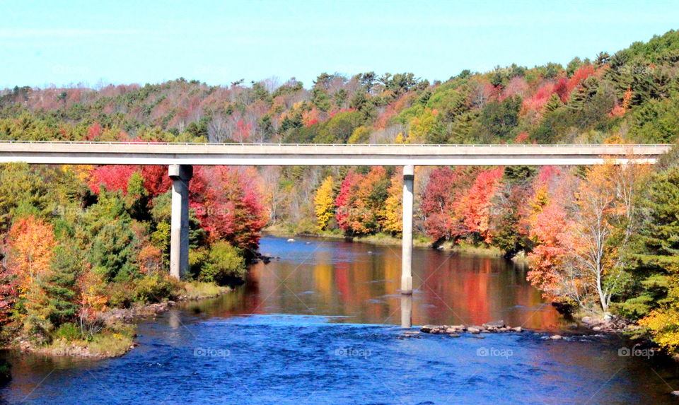 Nature's beauty is shown when fall arrives on the south shore of Nova Scotia