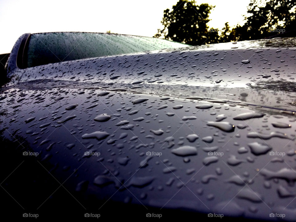 Lexus Waterdrops