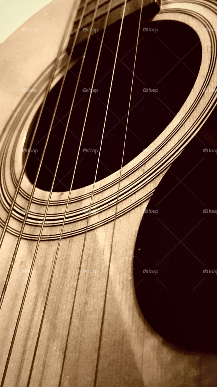 Close up on an acoustic guitars strings