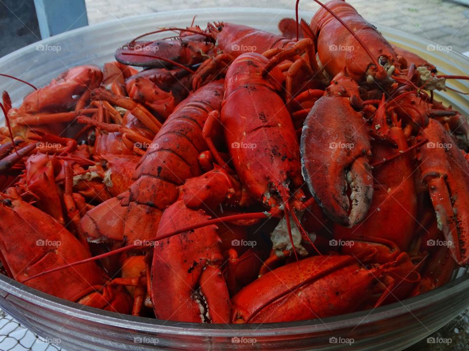 Platter Of Lobster