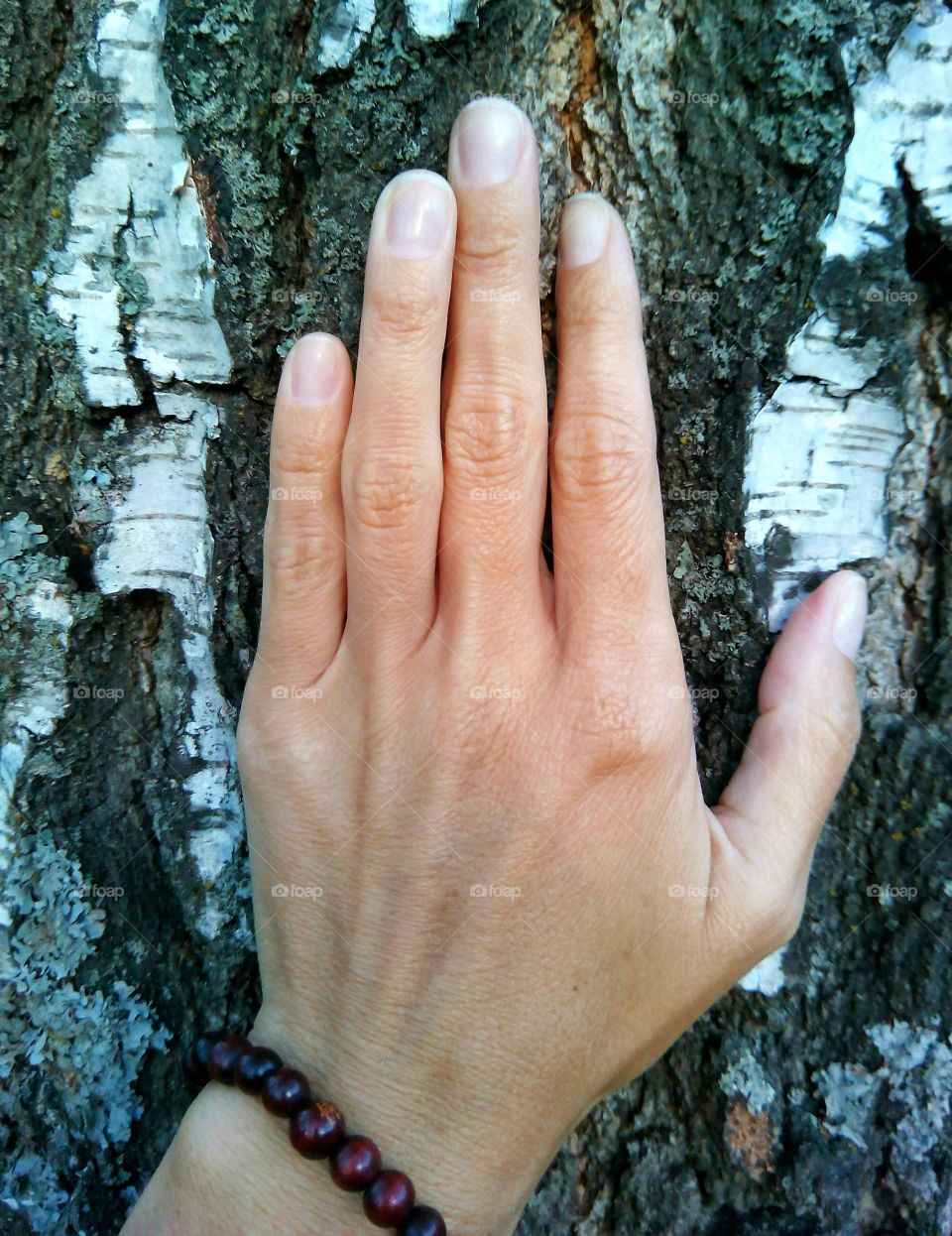 Hand, Nature, Tree, Bark, Outdoors