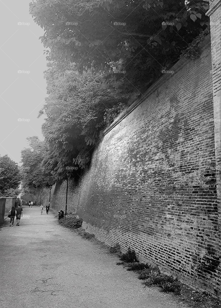 b/w wall