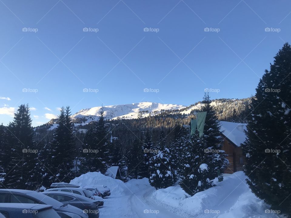 Beautiful snow covered mountain in the Austrian Alps. Fluffy snow sitting atop a bungalow with vibrant green evergreens filled with snow