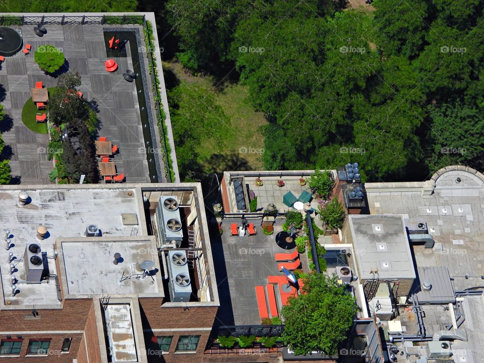 Urban Nature: Plants - Besides the decorative benefit, roof plantings may provide food, temperature control, hydrological benefits, architectural enhancement, habitats or corridors for wildlife. Concept: Beauty of Plant Life