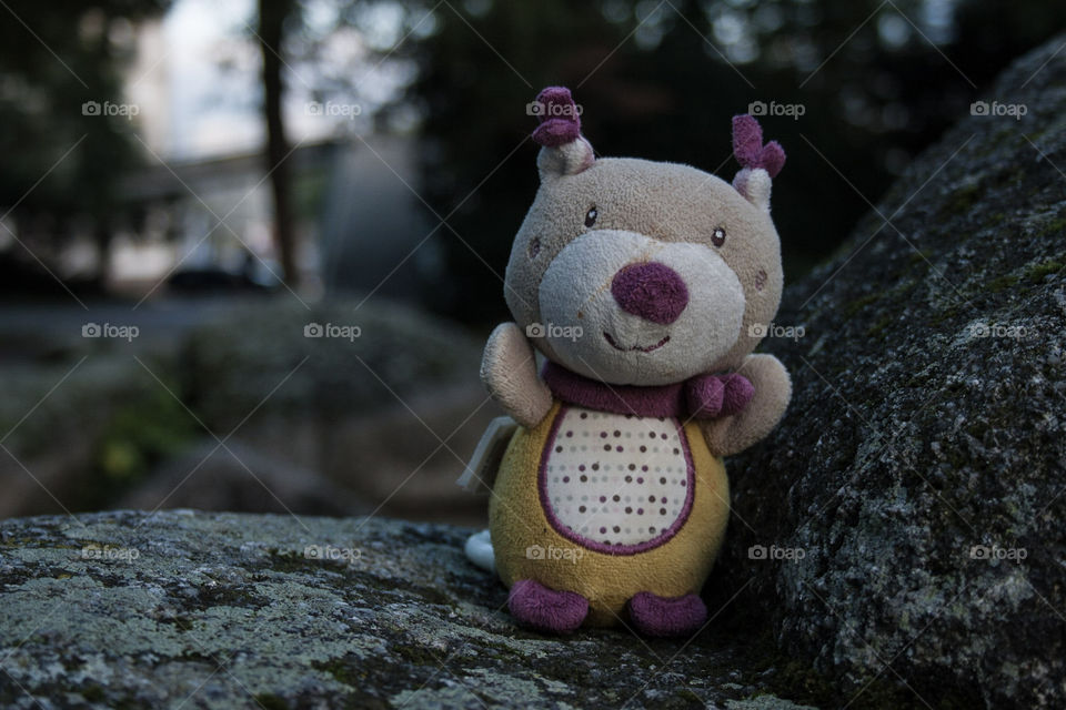 Teddy bear at the park