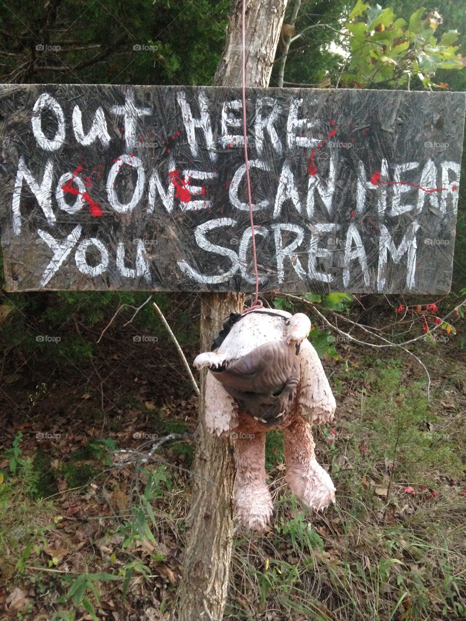 Taking a wrong turn...