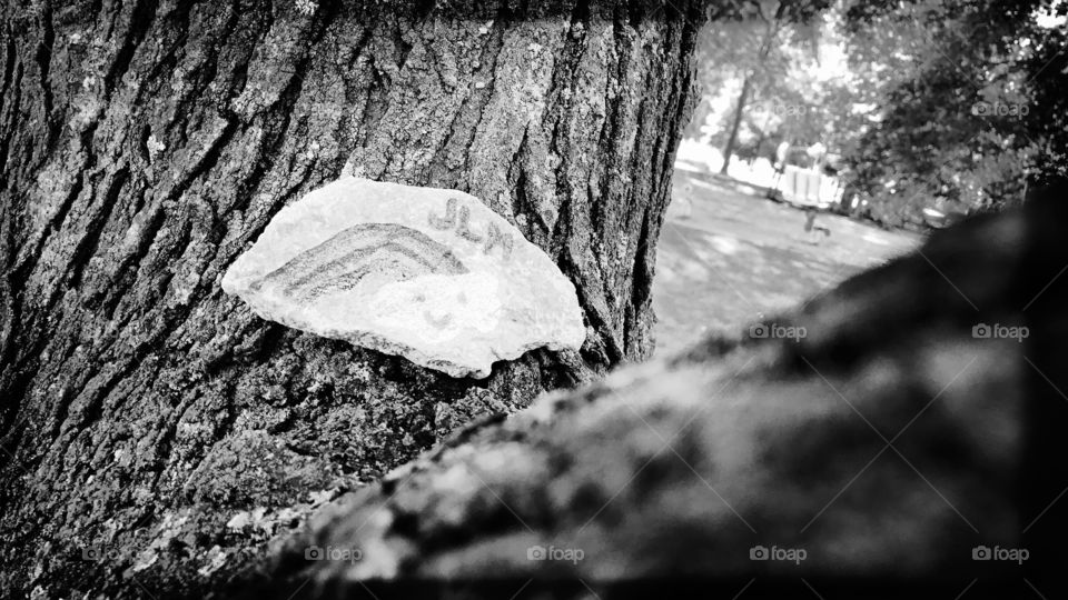 Painted rock in a tree