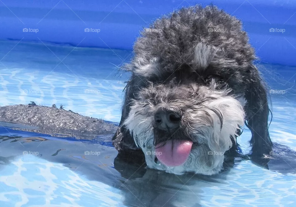 Rub a dub