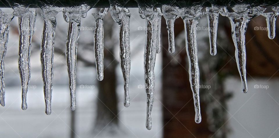 icicle