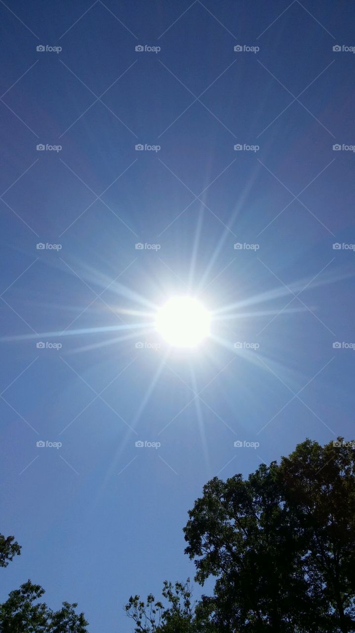 Illuminating sunrays