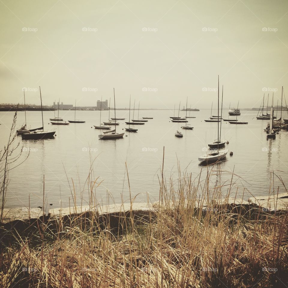 Boston harbor in the morning. Sailboats at rest