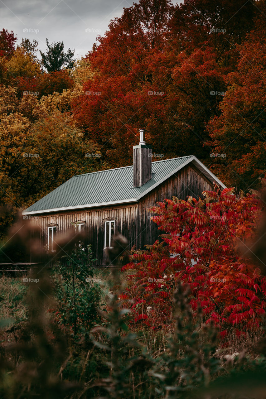 Gorgeous autumn 