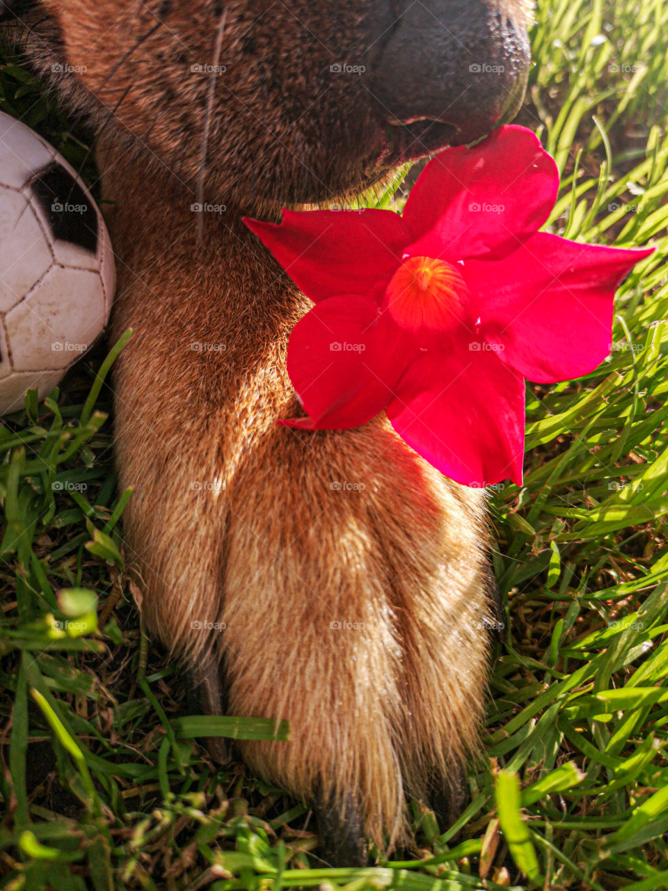 Just feel the nature