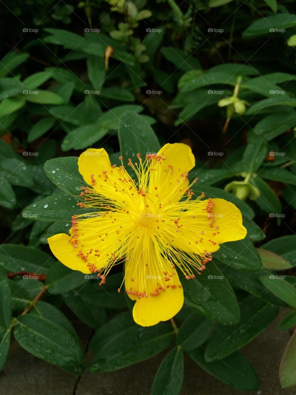 The beauty in nature